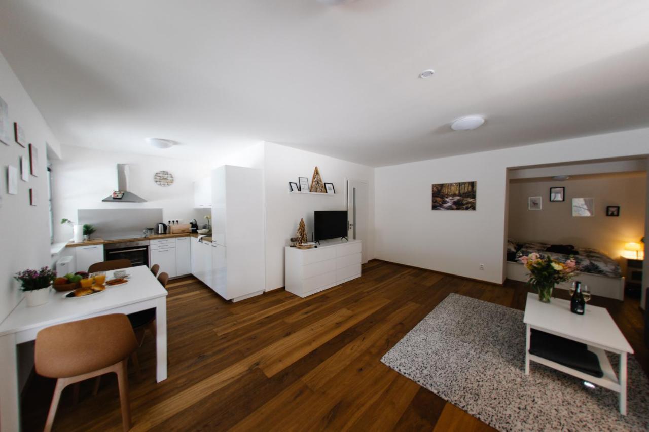 Apartman S Nadhernym Vyhledem V Centru Harrachova Екстер'єр фото